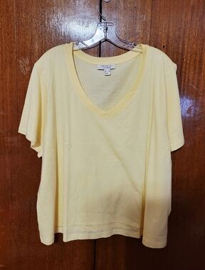 Forever 21 Pale V-Neck Short Sleeve Tee